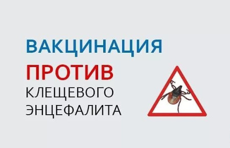 В МБОУ «СШ №32» проводится вакцинация против клещевого энцефалита для обучающихся школы..