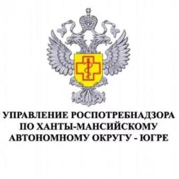 Памятки по формированию сладких новогодних подарков и игрушек для детей.
